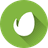 Envato Element